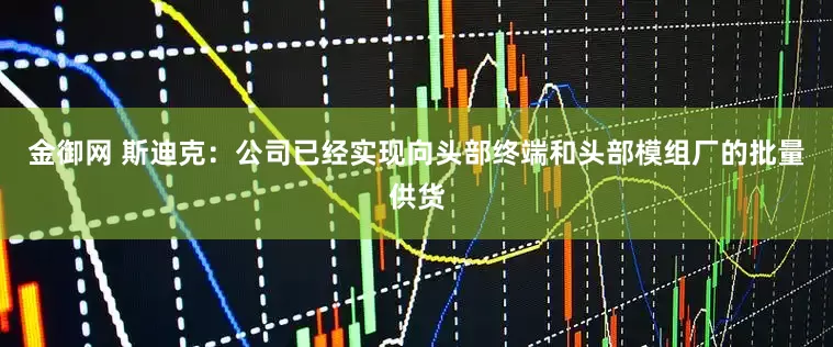 金御网 斯迪克：公司已经实现向头部终端和头部模组厂的批量供货