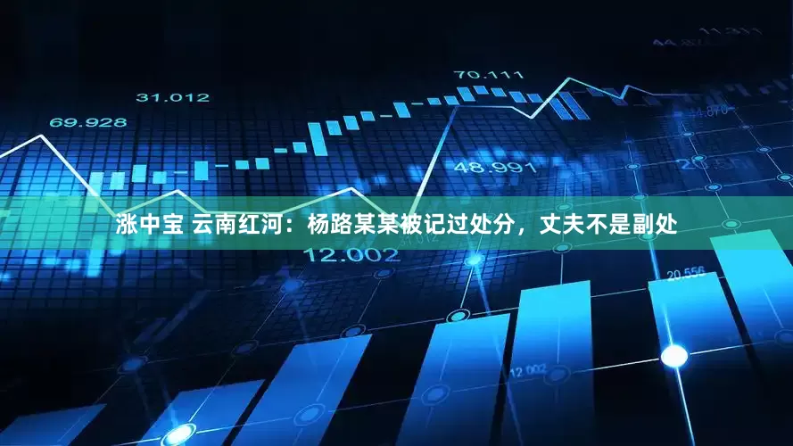 涨中宝 云南红河：杨路某某被记过处分，丈夫不是副处