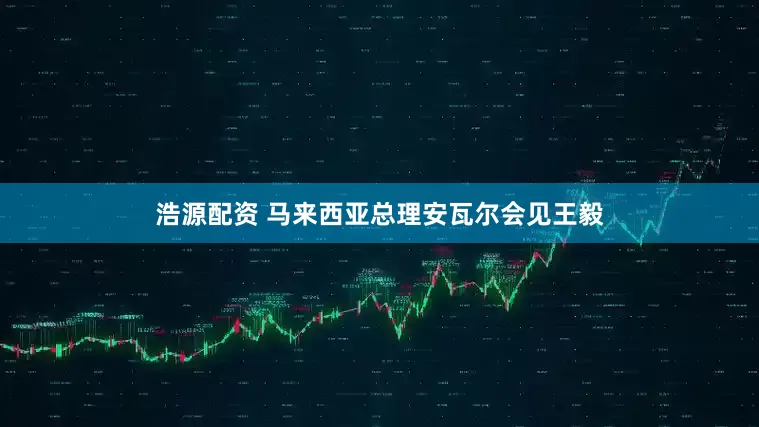 浩源配资 马来西亚总理安瓦尔会见王毅