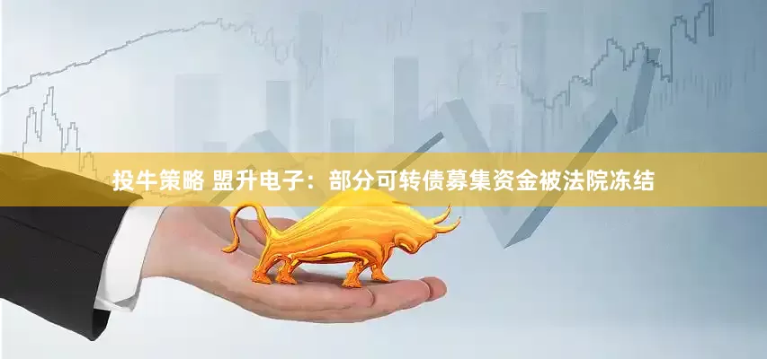 投牛策略 盟升电子：部分可转债募集资金被法院冻结