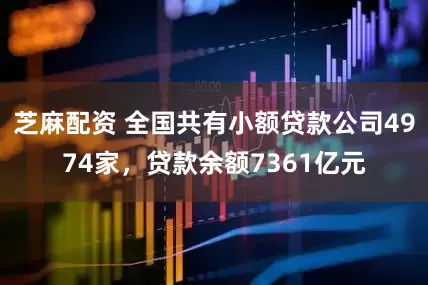 芝麻配资 全国共有小额贷款公司4974家，贷款余额7361亿元