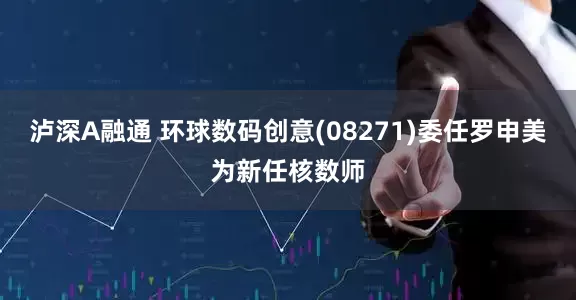 泸深A融通 环球数码创意(08271)委任罗申美为新任核数师
